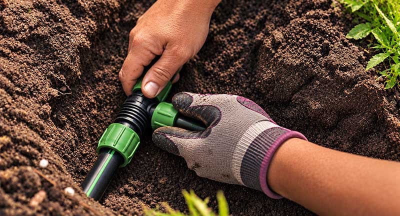 irrigation