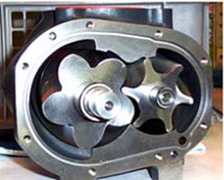 Rotors-in-rotor-housing