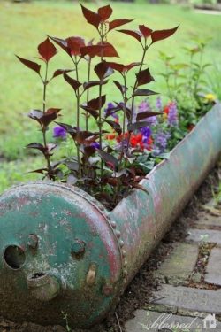 air-tank-garden-250x375