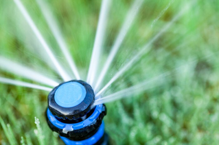sprinkler-700x466