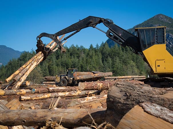 Heavy duty crane machine lifts raw logs at woodlot
