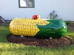 propane-tank-corn-250x187